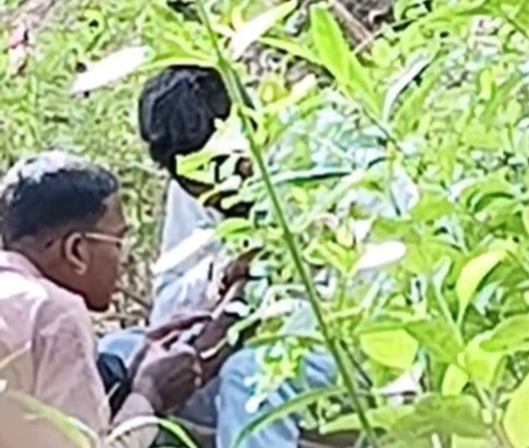 गाडरवारा में इंजेक्शन नशे का बढ़ता जाल, तीन युवक हिरासत में; सप्लायरों पर कार्रवाई की मांग तेज
