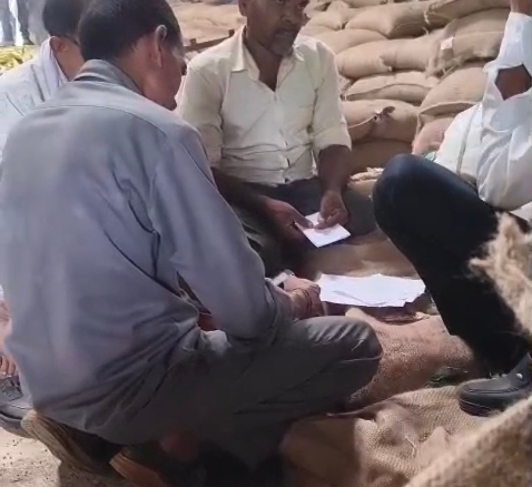 गाडरवारा के बड़कुर वेयरहाउस सिंगपुर छोटा में मूंग खरीदी पर उठे सवाल, किसानों से कथित अवैध वसूली का वीडियो वायरल!